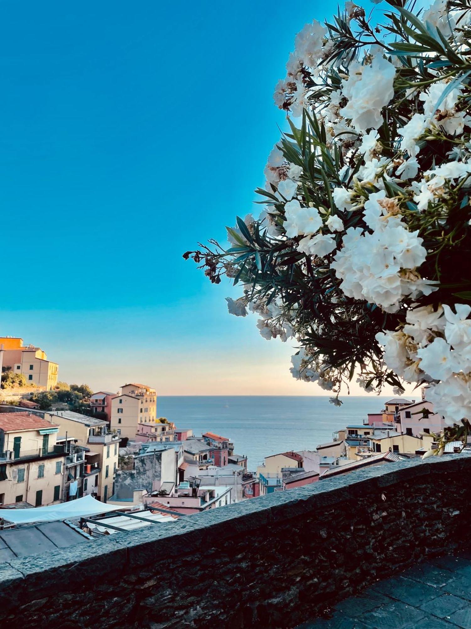 5Terreontherocks Riomaggiore Bagian luar foto